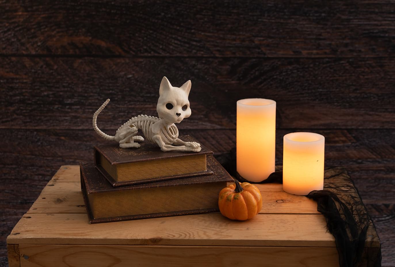 Crazy Bonez Cute Skeleton Cat