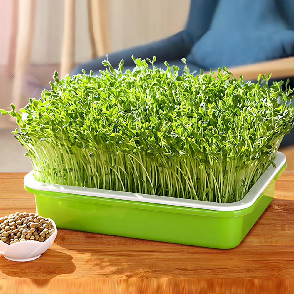 LeJoy Garden Seed Sprouter Tray BPA Free PP Soil-Free Big Capacity Healthy Wheatgrass Grower with Lid Sprouting Kit 13.4x9.84x4.72 inches