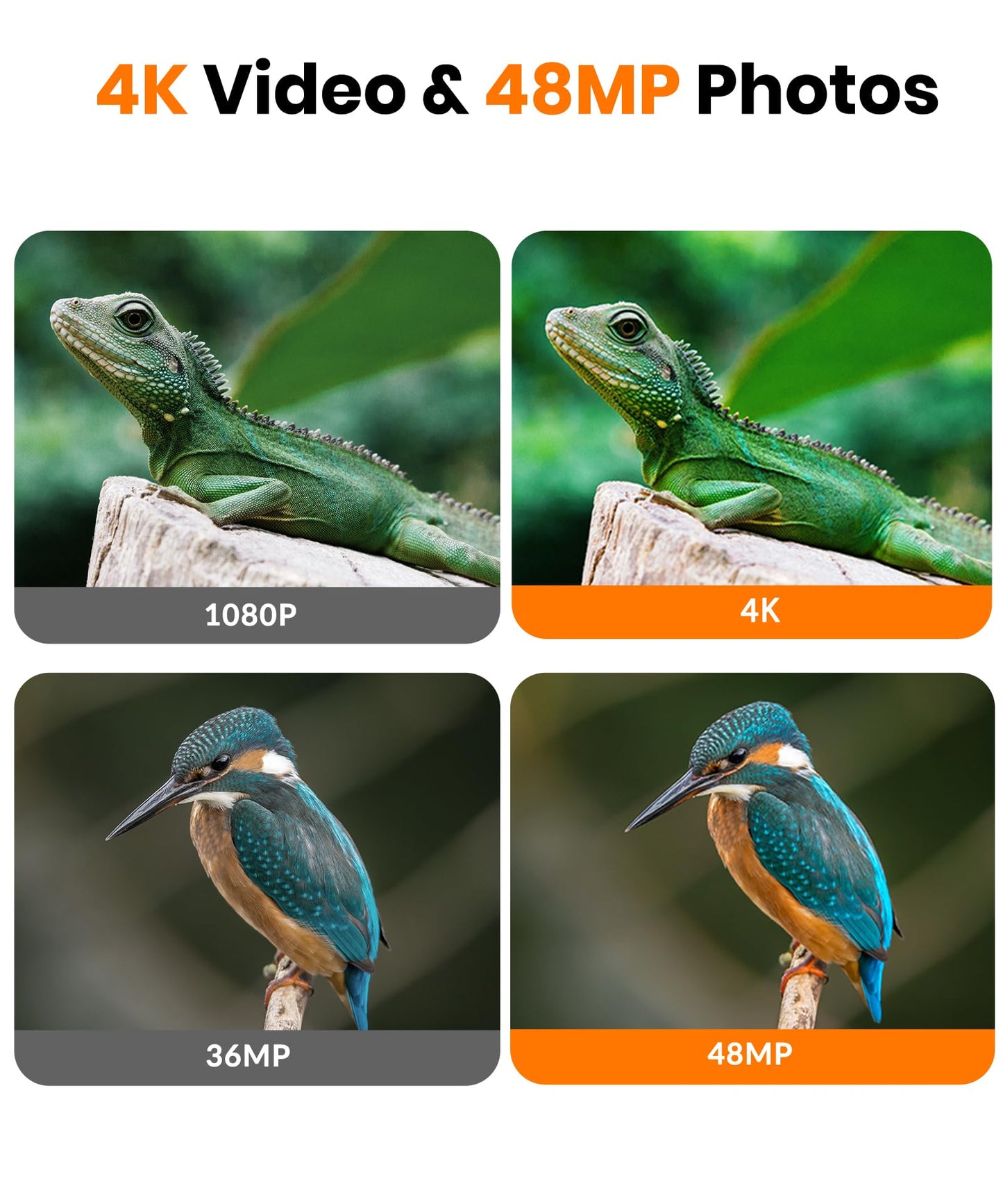 Dargahou Trail Camera - 4K 48MP Game Camera with Night Vision, 0.05s Trigger Motion Activated, IP66 Waterproof, 130 Wide-Angle with No Glow Infrared LEDs for Outdoor Wildlife