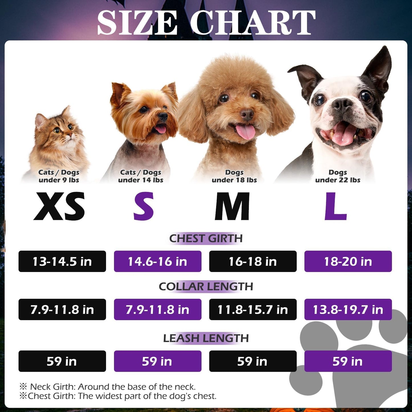 EXPAWLORER Halloween Puppy Harness - Dog Collar and Leash - Soft Mesh Padded Adjustable Step in Small Dog Vest Harness No Pull, Reflective Escape Proof for Outdoor Walking, Purple M