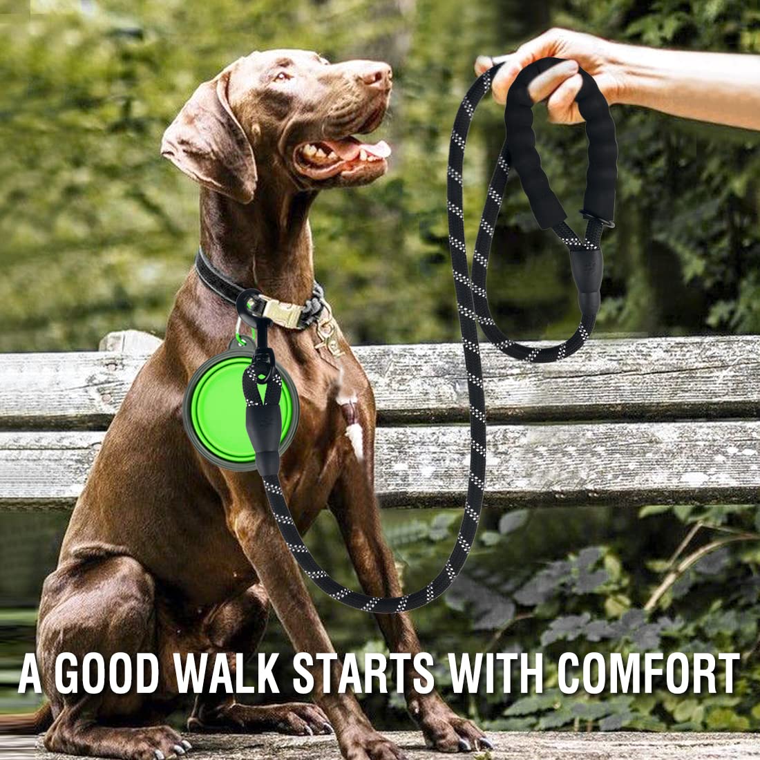 COOYOO 2 Pack Dog Leash 6 FT Heavy Duty - Comfortable Padded Handle - Reflective Dog Leash for Medium Large Dogs with Collapsible Pet Bowl Set 6-Black+Green