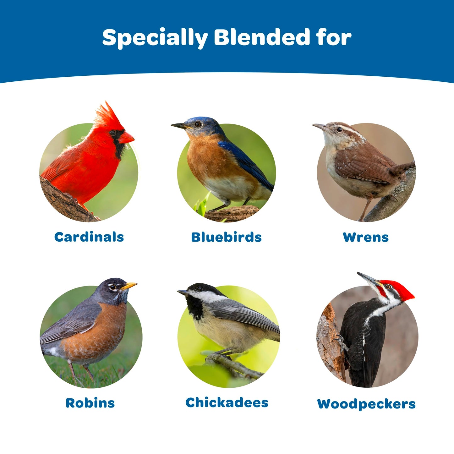 Kaytee Wild Bird Gourmet Seed Cake For Cardinals, Chickadees, Juncos, Titmice, Woodpeckers and More, 2 Pounds