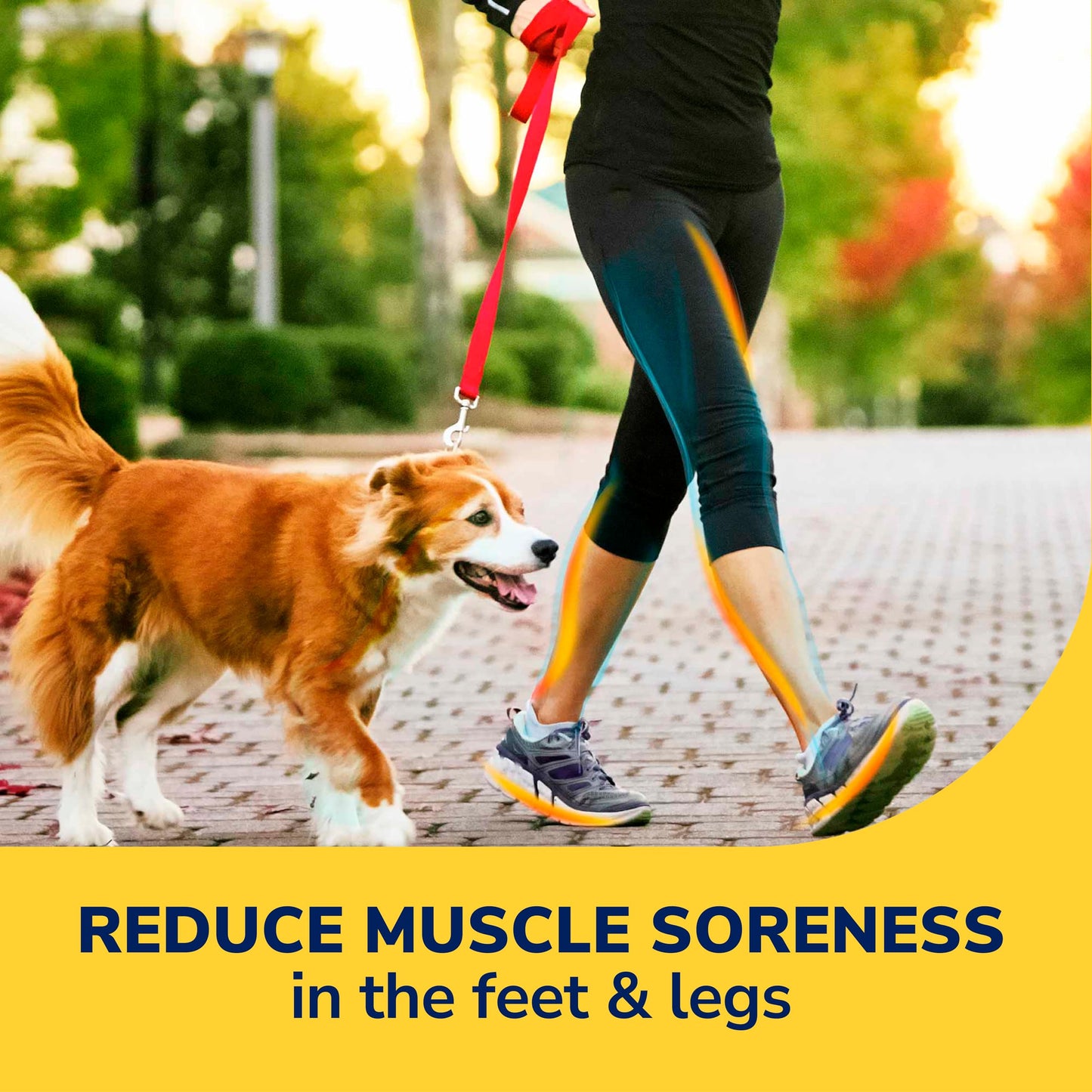 Dr. Scholl's Walk Longer Insoles for Women - Comfortable Plush Foam Cushioning Inserts for Walking, Hiking, and Standing on Feet All-Day with Arch Support - Walk 50% Longer Without Muscle Fatigue