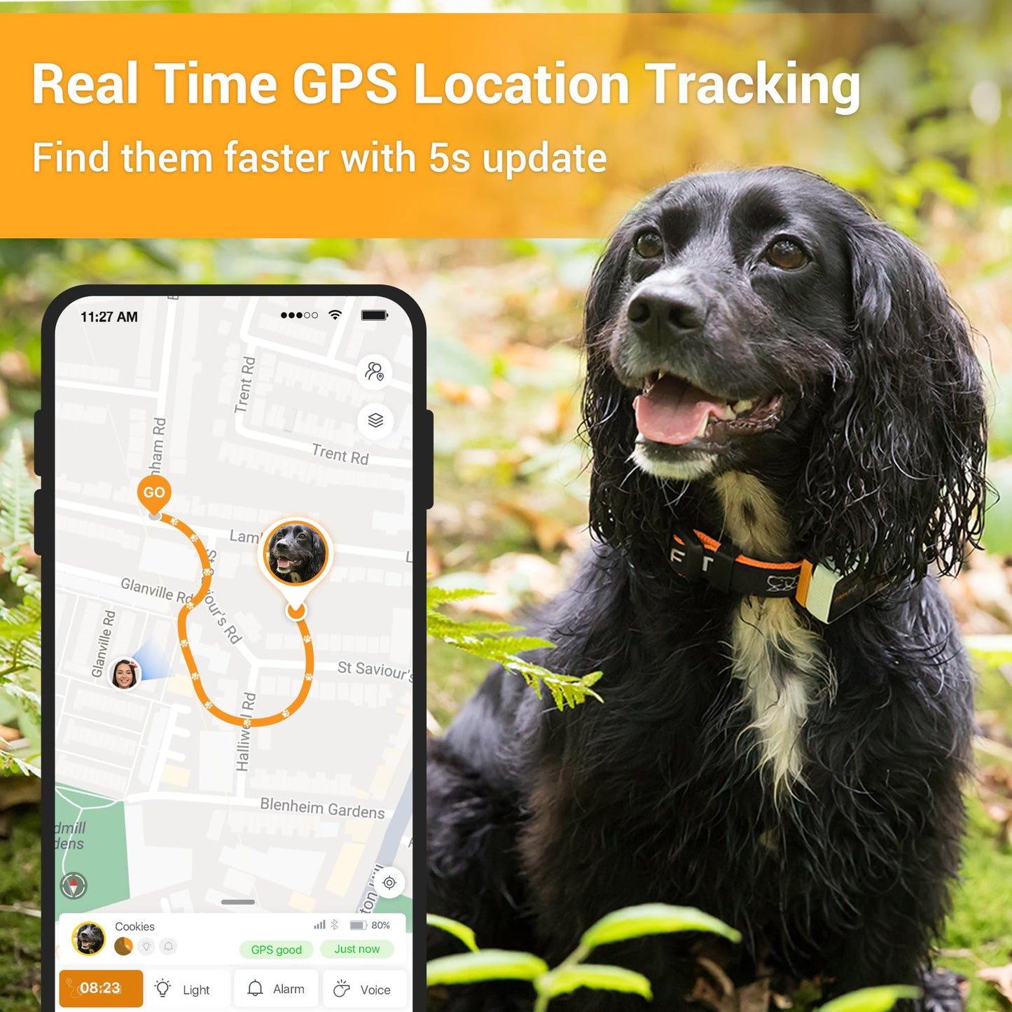 Pawfit 3 GPS Pet Tracker GPS Dog Tracker 4G Live Tracking, Smart Alerts, Fully Waterproof Activity Monitor for Pets, Unlimited Range, Remote Voice Recall, Fits All Collars, 30 Day Free Subscription