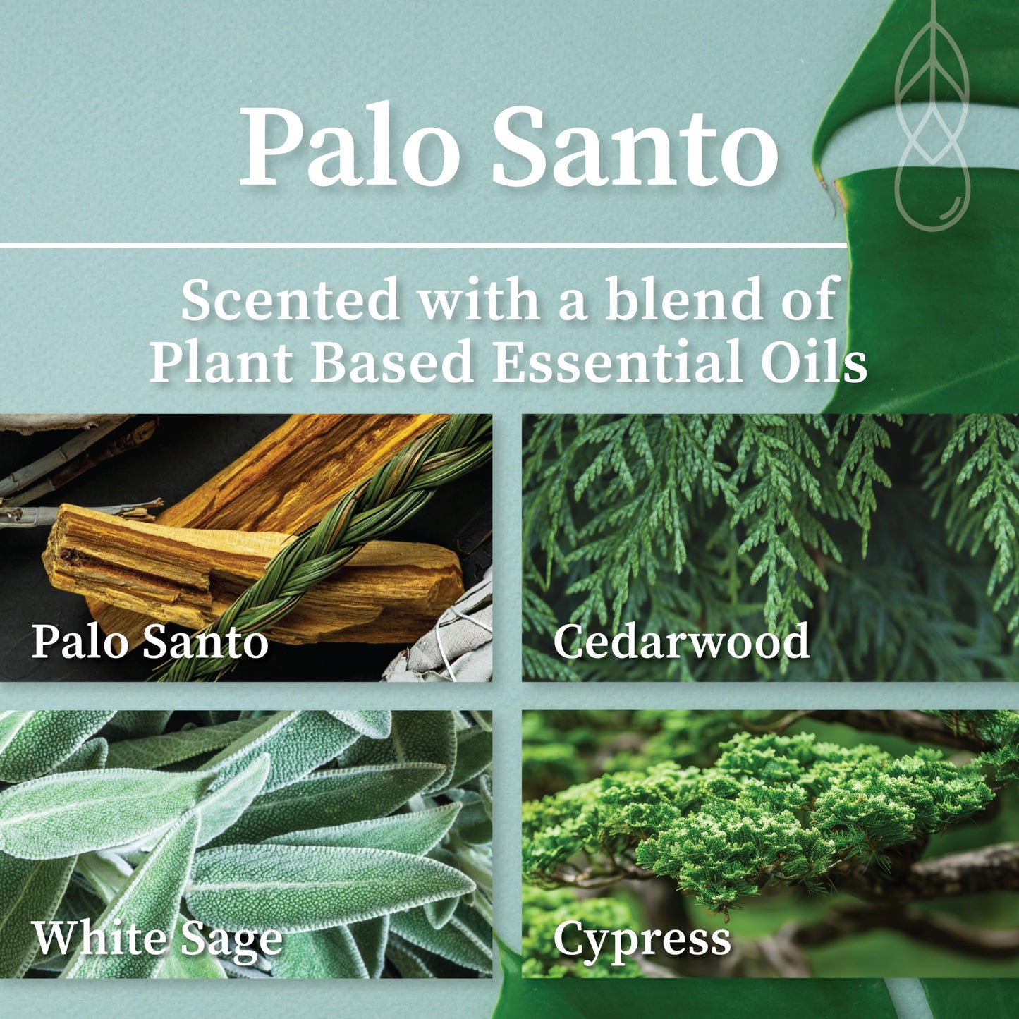 Hemlock Park Crackling Wood Wick Candle Handcrafted with Natural Coconut Wax (Standard 8 oz, Palo Santo)