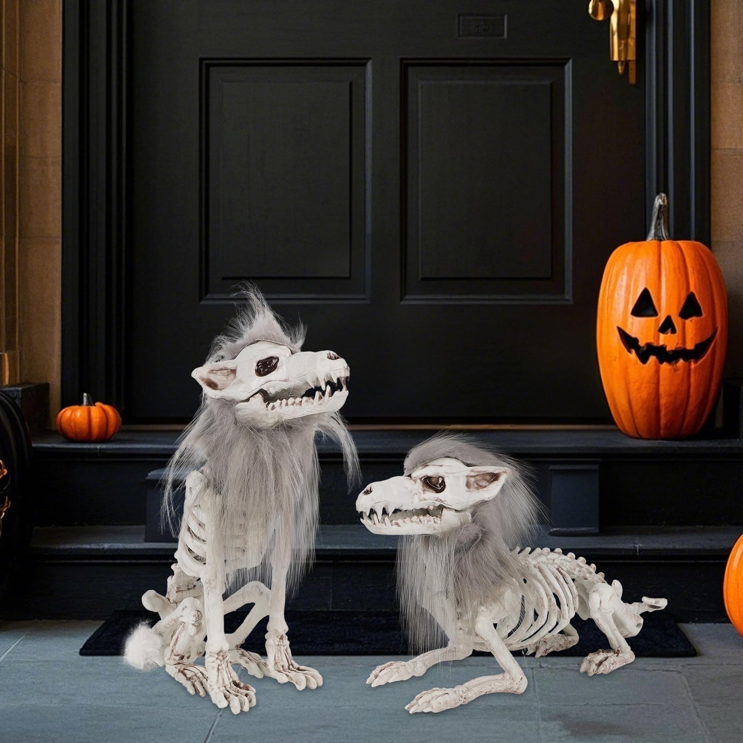 DR.DUDU 2 Pack Halloween Skeleton Wolf Decorations, Life Size Animals Skeletons Poseable Halloween Decor Plastic Bones with Hair Wolf Skull Figurines for Table Yard Lawn Party Props Décor