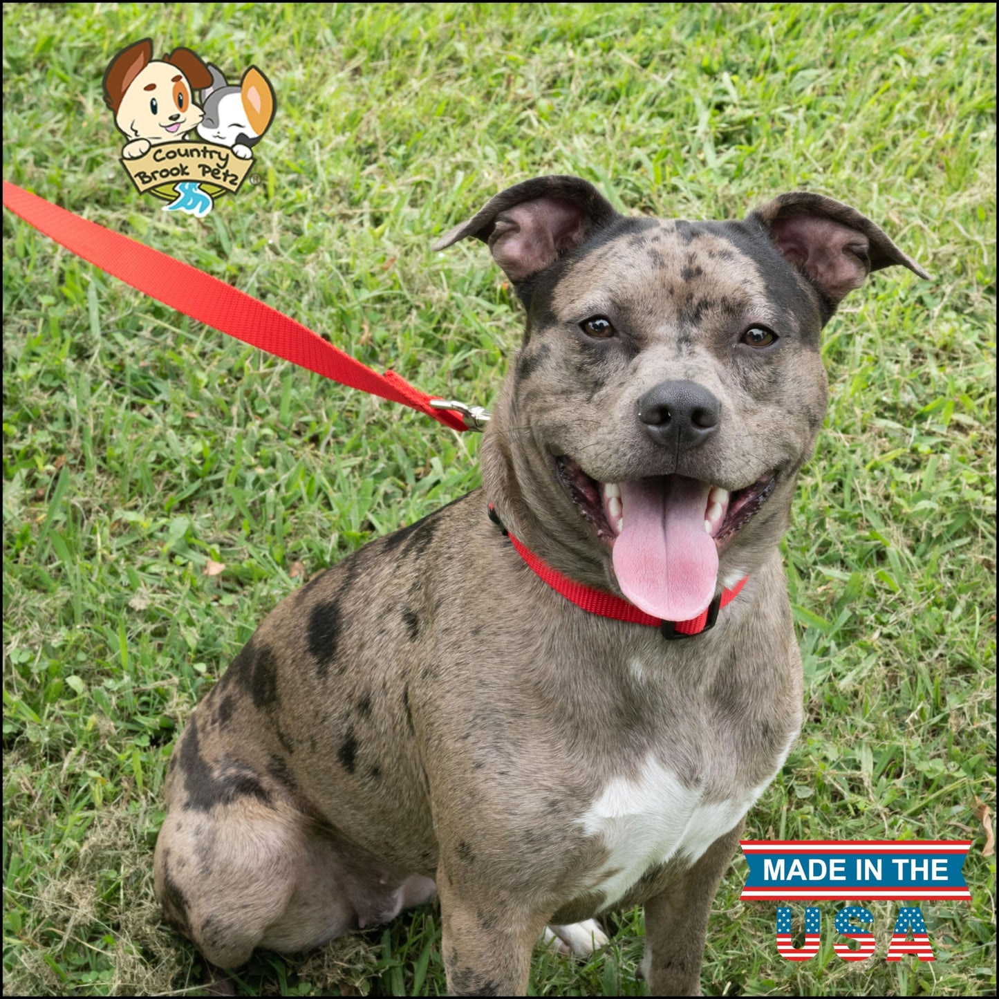 Country Brook Petz - American-Made Dog Collar for Large, Medium, and Small Dogs and Puppies - Deluxe Heavy Duty Nylon in 33 Dazzling Colors (Large, 1 Inch Wide, Bright Red)