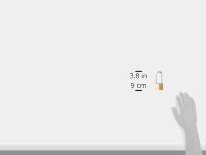 Master Lock 140DLH Solid Brass Padlock, Bronze/Silver