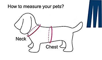 Cowboy Uniform Dog Cat Costume - Funny Pet Cowboy Outfit Clothing with Hatfor Halloween Christmas Birthday Special Events Costumes for Kittens and Puppies (S)