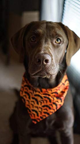 KZHAREEN 2 Pack Halloween Dog Bandana Reversible Triangle Bibs Scarf Accessories Large