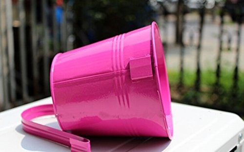 KINGLAKE Flower Pots,10 Pcs Metal Iron Hanging Flower Plant Pots Balcony Garden Plant Planter Baskets Fence Bucket Pot 4'' Flower Holders with Detachable Hook