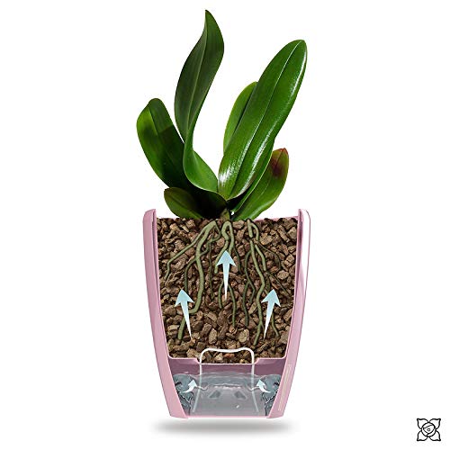 Gardenera 4.9" ORCHIDEA Self Watering Pots for Orchids in Lavender - Decorative Wicking Planter with w/Great Aerification, Drainage and Water Level Indicator