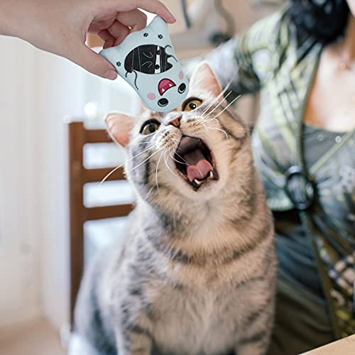 Dorakitten Catnip Toys Interactive Cat 5PCS Cats Chew Plush Ghost Toys & Pet Stuffed Nip Pillow & Kitten Best Kicker Toy Cute and Soft Teething Supplies for Moving Kitty Indoor