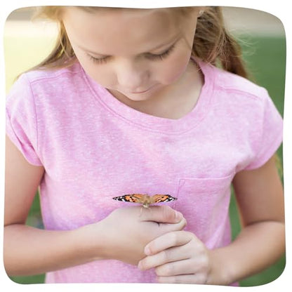 Insect Lore Butterfly Garden - 8" Habitat with 5 Live Baby Caterpillars - Includes Life Cycle Figurines, Stickers, Wind up, Mini Habitat | Birthday or Teacher Gift Set