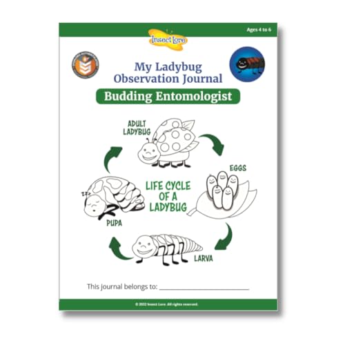 Insect Lore Ladybug Land | Ladybug Growing Kit Habitat | Redeem Voucher For Live Ladybug Larvae