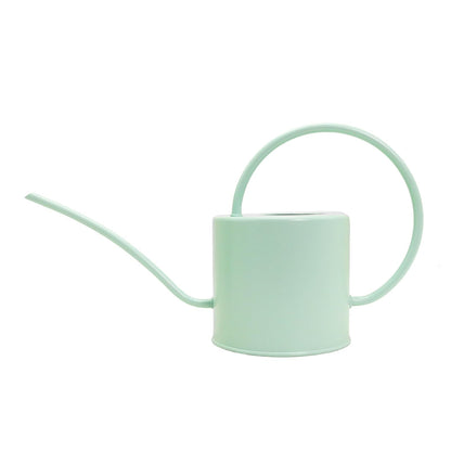 Lechloris Indoor Watering Can for Houseplants-Long Spout Metal Watering Can for Indoor Plants, Succulents or Outdoor Garden Flower, 1.3L / 40 oz Mint