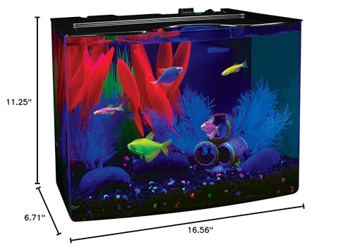 GloFish Crescent Aquarium Kit 5 Gallons, Includes Hidden Blue LED Light And Internal Filter