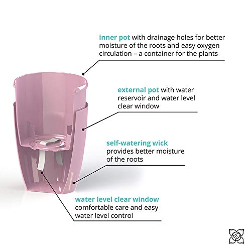 Gardenera 4.9" ORCHIDEA Self Watering Pots for Orchids in Lavender - Decorative Wicking Planter with w/Great Aerification, Drainage and Water Level Indicator