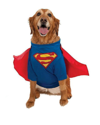 DC Comics Superheroes: Superman Pet Costume for For Dogs or Cats by Rubies, Small