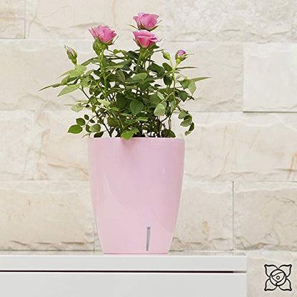 Gardenera 4.9" ORCHIDEA Self Watering Pots for Orchids in Lavender - Decorative Wicking Planter with w/Great Aerification, Drainage and Water Level Indicator