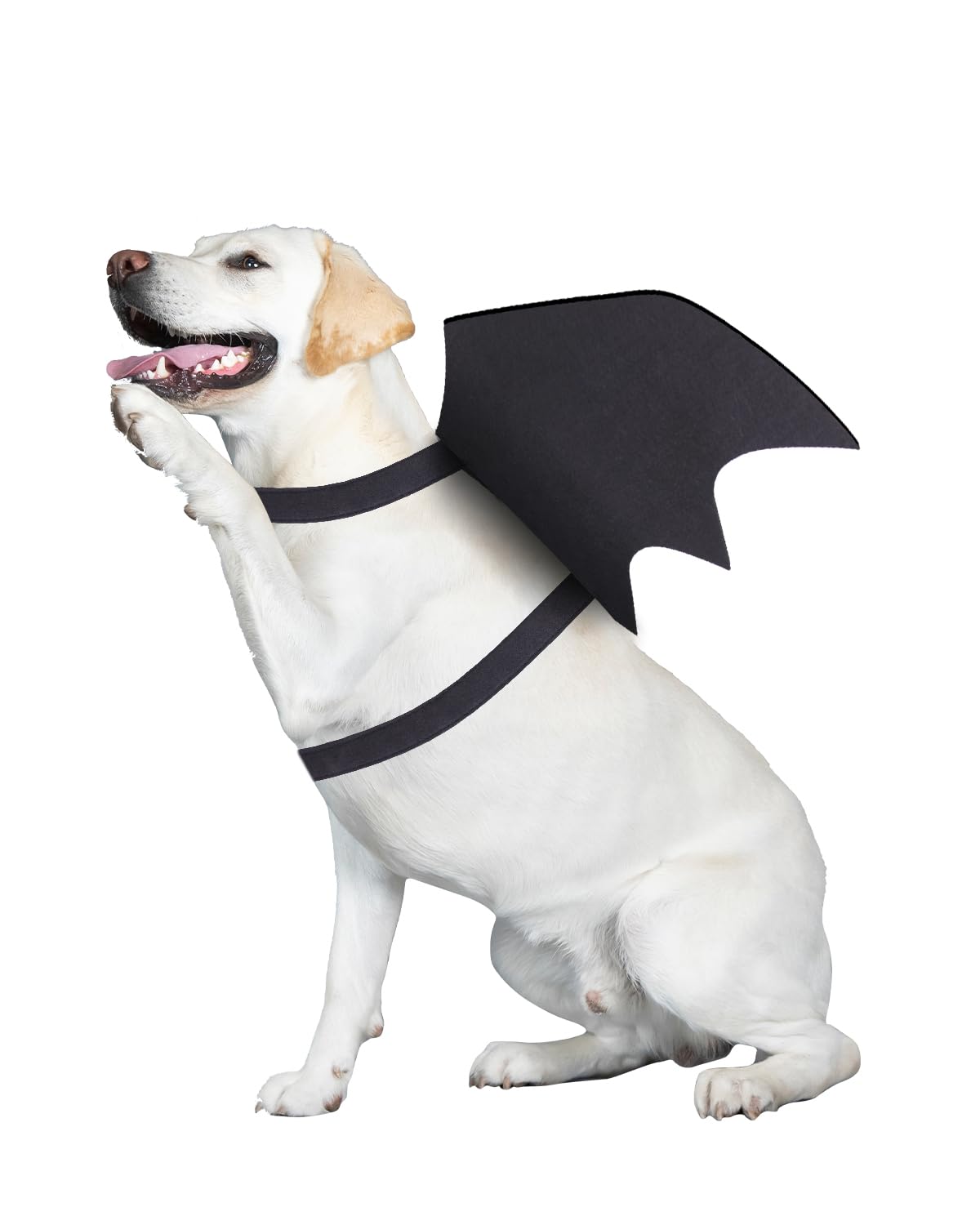 Dog Halloween Costumes for Large Dogs, Dog Bat Wings with Pumpkin Bell Pet Halloween Cosplay Party Dress Up (Large)