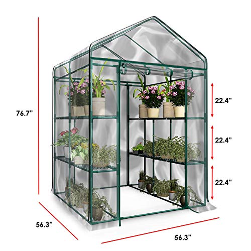Home-Complete 514537FXW Walk-in Greenhouse-Indoor Outdoor with 8 Sturdy Shelves-Grow Plants, Seedlings, Herbs, or Flowers in Any Season-Gardening Rack, Green