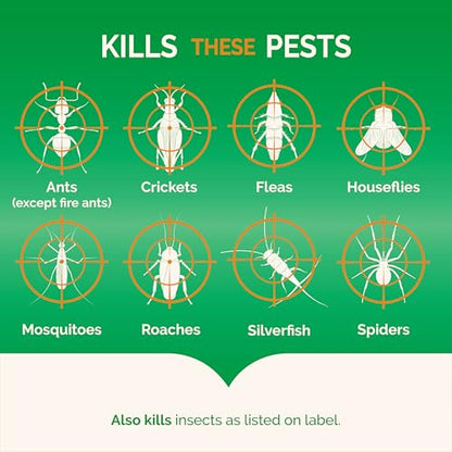 Hot Shot Fogger With Odor Neutralizer 6 Count-2 Ounce Cans (2 Pack), Controls Heavy Insect Infestations
