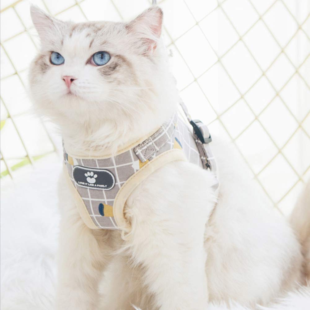 FEimaX Dog Harness and Leash Set, No-Pull Breathable Soft Mesh Puppy Vest Harness Reflective Adjustable Pet Harnesses for Small Medium Dogs and Cats - Outdoor Easy Control for Walking