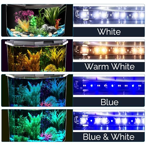 Koller Products 6.5-Gallon Aquarium Kit with Power Filter and LED Lighting, (AP650)