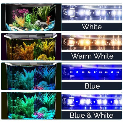 Koller Products 6.5-Gallon Aquarium Kit with Power Filter and LED Lighting, (AP650)