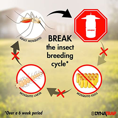 DynaTrap DT1050SR 1/2 Acre Mosquito & Flying Insect Trap – Kills Mosquitoes, Flies, Wasps, Gnats, & Other Flying Insects - Bug Zapper Alternative - Black