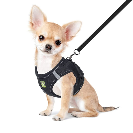 FEimaX Dog Harness and Leash Set, No Pull Breathable Soft Mesh Puppy Vest Harness Reflective Adjustable Pet Harnesses for Small Medium Dogs and Cats - Outdoor Easy Control for Walking