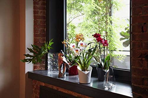 Lechuza Plant Pot, 13960