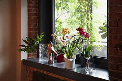 Lechuza Plant Pot, 13960