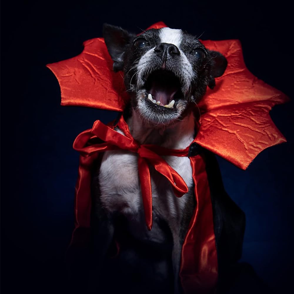 Funny Halloween Dog Cat Vampire Cloak Costume Stand-Collar Design Pet Cape Cosplay Apparel Holiday Party Dress Up Decoration(Vampire,S)