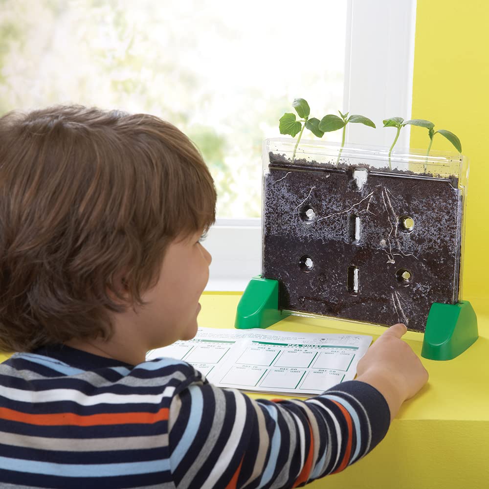 Educational Insights Sprout & Grow Window - See-Through Sprouts Growing Kit, Kids Gardening Set, Starter Science Kits for Kids, Root Viewer, Interactive Homeschool or Classroom Planter, Ages 5+