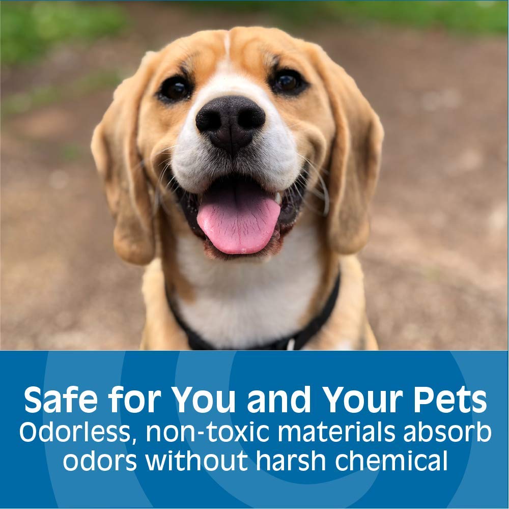 Gonzo Odor Eliminating Rocks for Homes - 2 Pack