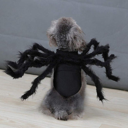 Dog Cat Spider Costume for Halloween Party Decoration, Halloween Cosplay Costumes for Small Dogs and Cat, Puppy Dress Up Accessories