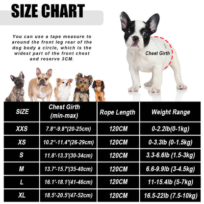 FEimaX Dog Harness and Leash Set for Walking, Soft Mesh Adjustable Easy Control Lightweight Cat Vest Harnesses with Reflective Strips, Escape Proof Small Dogs Cats Vests (Black, X-Small)