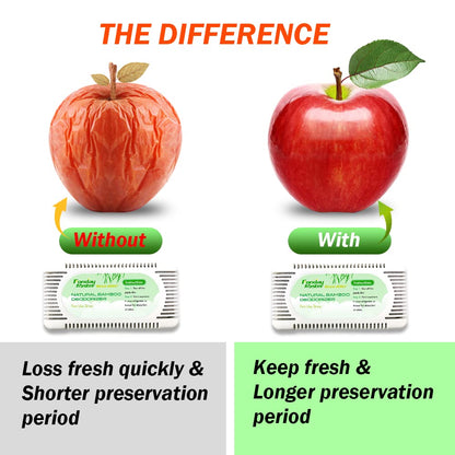 4Packs Fonday Refrigerator Deodorizer Odor Eliminator for Fridges Freezers Coolers Lunch Boxes Bamboo Charcoal More Effective Than Baking Soda