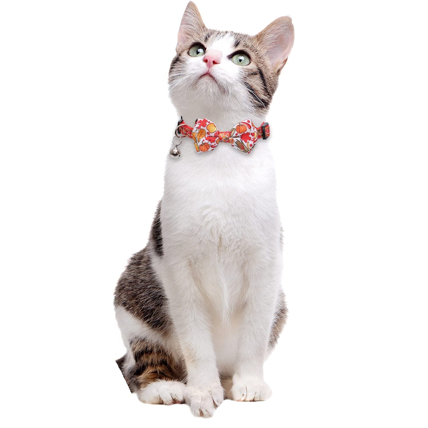 Lamphyface Thanksgiving Cat Collar Fall Autumn Breakaway with Bow Tie and Bell for Kitty Adjustable Safety