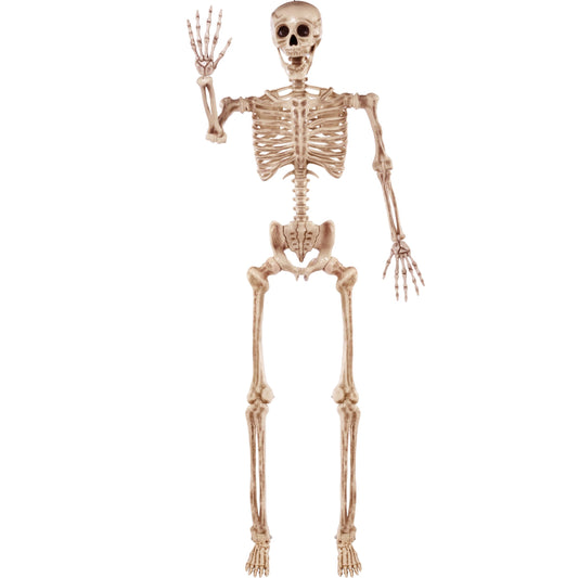 JOYIN 5.6 FT Halloween Posable Life Size Skeleton, Full Body Realistic Bones with Movable Joints, Giant Skeletons Halloween Decorations for Indoor Outdoor Haunted House Props, Spooky Scene Party Decor