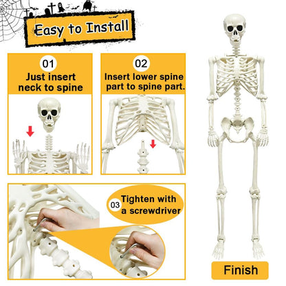 5.4ft/165cm Halloween Skeleton, Life Size Skeleton with Spider Pumpkin Bag, Full Body Human Bones with Movable Joints for Halloween Indoor Outdoor Haunted House Decorations