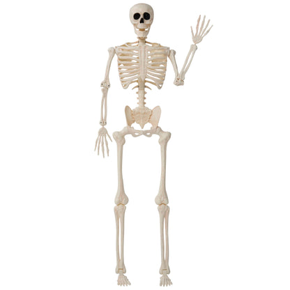 JOYIN 36" Halloween Skeleton Decor, 3FT Full Body Stayable Movable Joints, Posable Hanging Skeletons for Halloween Decoration, Yard, Graveyard, Haunted House Props, Spooky Scene Party Favor