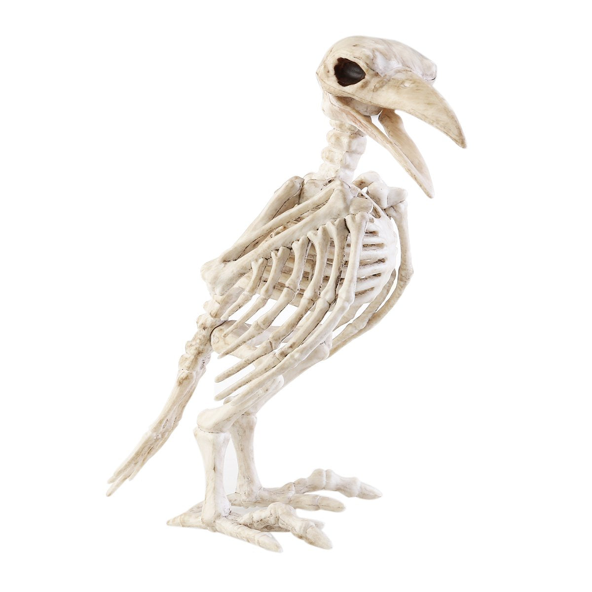 Crazy Bonez Skeleton Raven