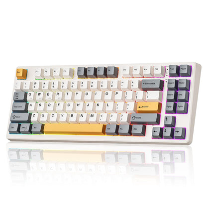 Kisnt Wireless Mechanical Keyboard,Gasket Mounted with Creamy Sound,Bluetooth/2.4GHz/USB-C,Custom Hot Swappable,RGB Backlit,75% Compact Layout for Gaming/Typing/Win/Mac/PC (Retro Beige,Linear Switch)