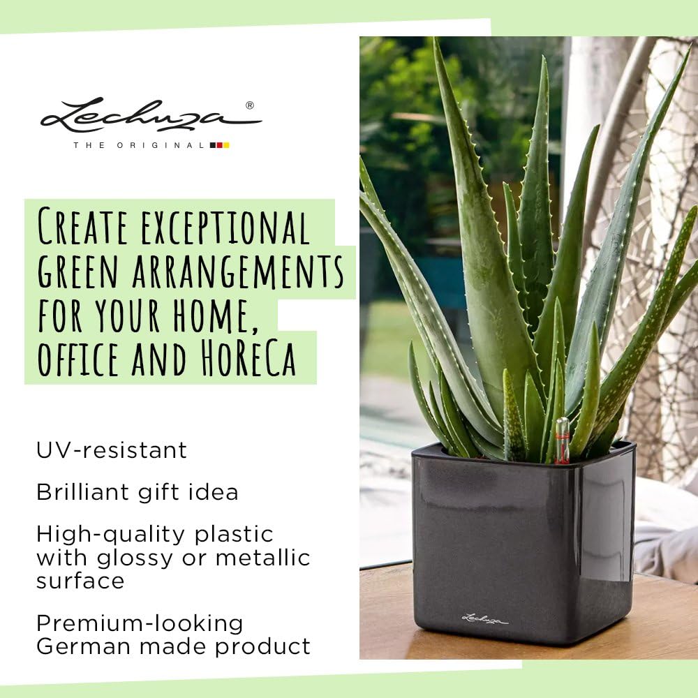 Lechuza Glossy Cube 16 Self-Watering Planter with Water Level Indicator, High Gloss Scarlet Red