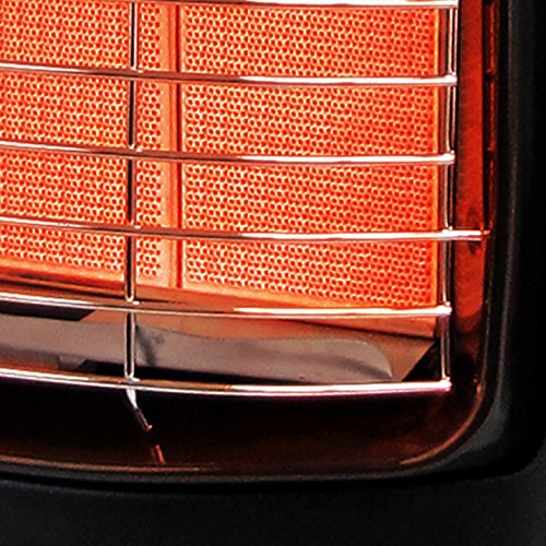 Dyna-Glo RA18LPDG 18,000 BTU Cabinet Heater, Black