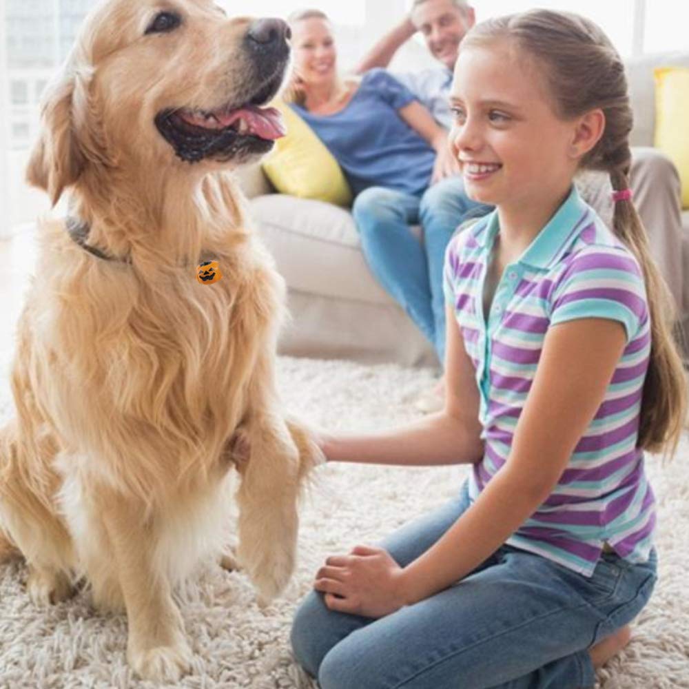 Kiddale 12 Pcs Pumpkin Bells Pet Collar Bells,Halloween Pendants DIY Crafts Handmade Accessories 19 Mm Charm Pendants Decoration