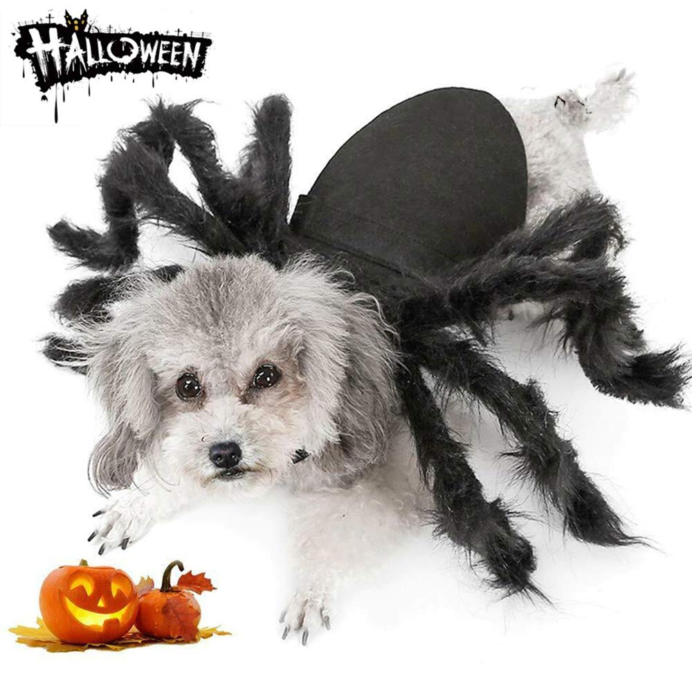 Dog Cat Spider Costume for Halloween Party Decoration, Halloween Cosplay Costumes for Small Dogs and Cat, Puppy Dress Up Accessories